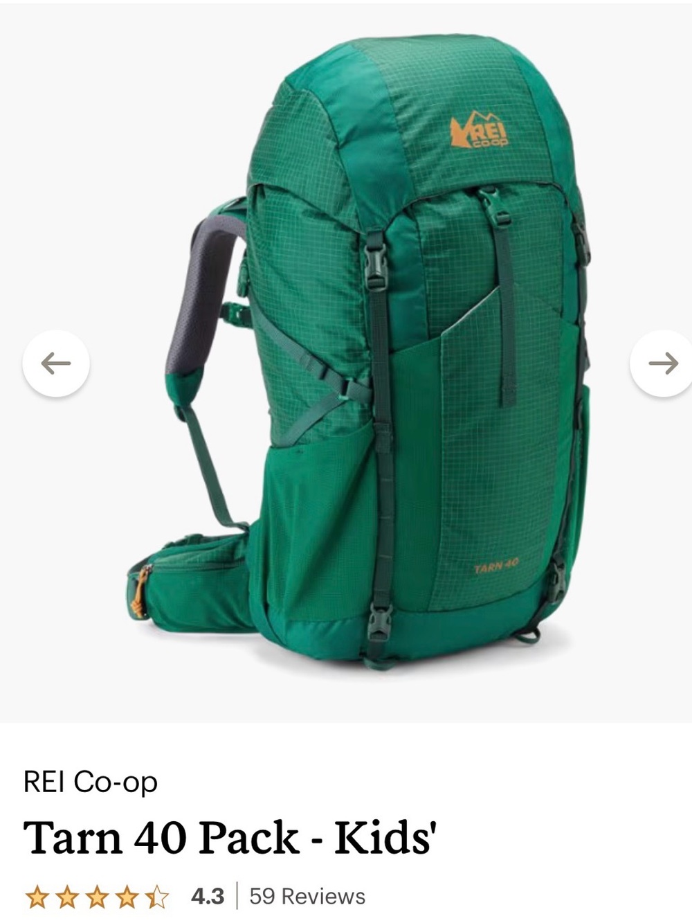 REI CO-OP Tarn 40 Kids Hiking Pack - Green - Picture 2 of 9